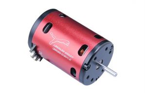 LEOPARD Brushless Motor LBG 3650/5.5T