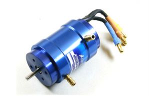 HOBBYWING SEAKING 3900KV Brushless Motor